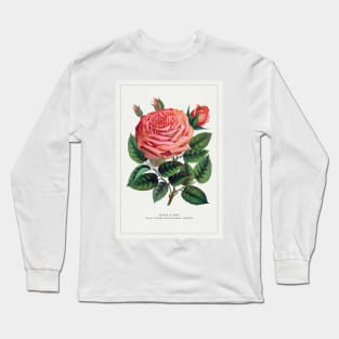 Pink Rose, Glorie de Dijon Lithograph (1900) Long Sleeve T-Shirt